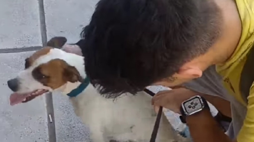 Βρήκε τον σκύλο του μετά από πέντε χρόνια