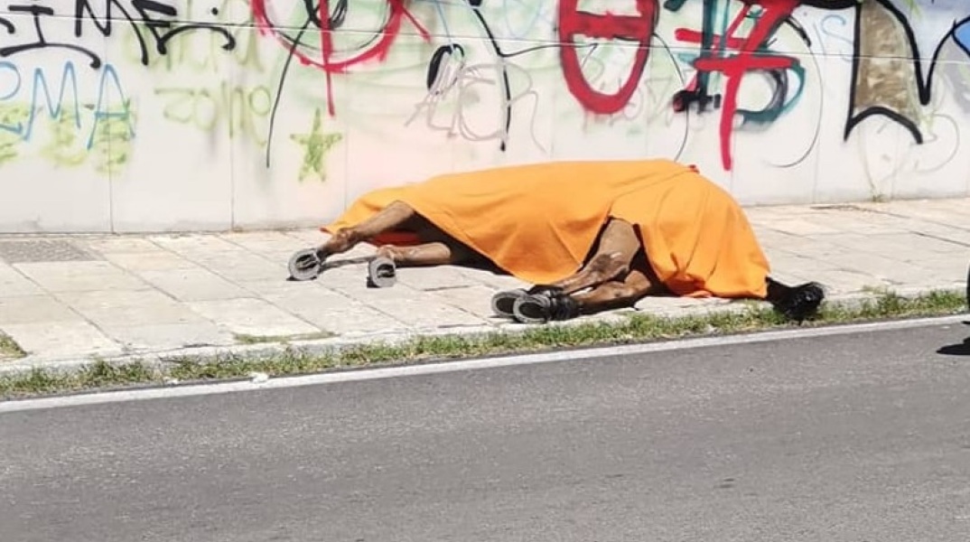 Κέρκυρα: Νεκρό άλογο στη μέση του δρόμου
