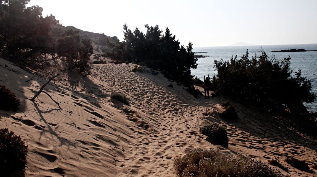 Μονοπάτι με άμμο που καταλήγει σε παραλία στη Γαύδο 