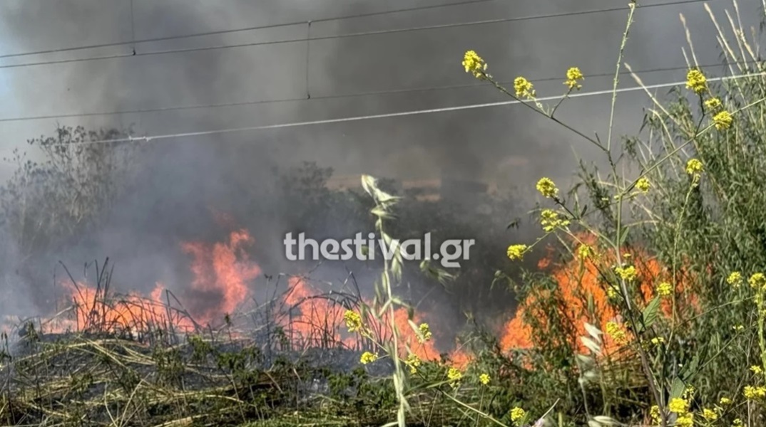 Καλύτερη η εικόνα της φωτιάς στη Βόλβη Θεσσαλονίκης - Οι φλόγες έφτασαν 500 μέτρα έξω από τον οικισμό Λίμνη