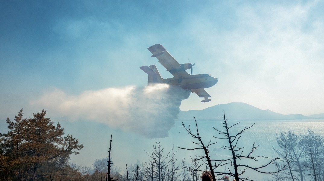 αεροπλάνο Canadair ριχνει νερο σε δασος