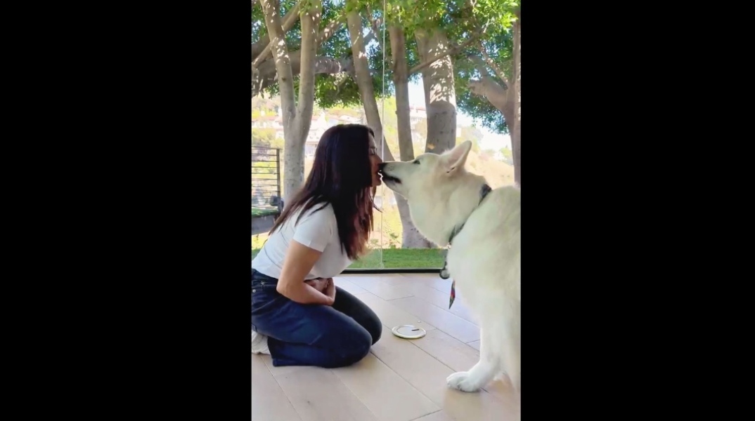Η Σάλμα Χάγιεκ ταΐζει τον σκύλο της με το στόμα