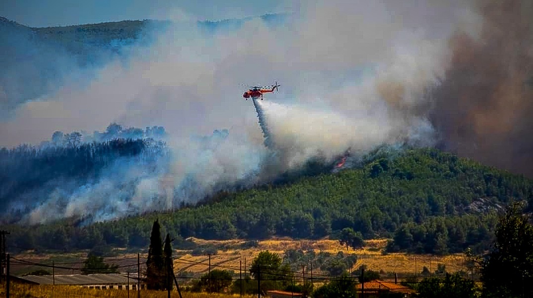 Φωτιά στην Εύβοια: Προκλήθηκε από άγριο πτηνό που ήρθε σε επαφή με τα ηλεκτροφόρα καλώδια 