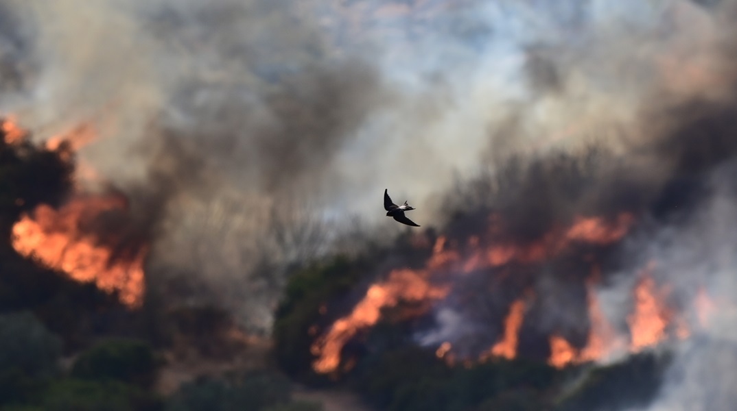 Ακραίος κίνδυνος πυρκαγιάς (κατηγορίας 5) αύριο σε Αττική και άλλες 5 περιφέρειες - Στο «κόκκινο» η μισή Ελλάδα