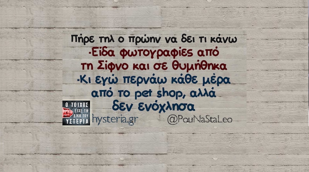 Αστεία memes, ατάκες, YOLO βίντεο, viral, αστεία video στο TikTok που ανέβηκαν στο διαδίκτυο και μας έκαναν να γελάσουμε.