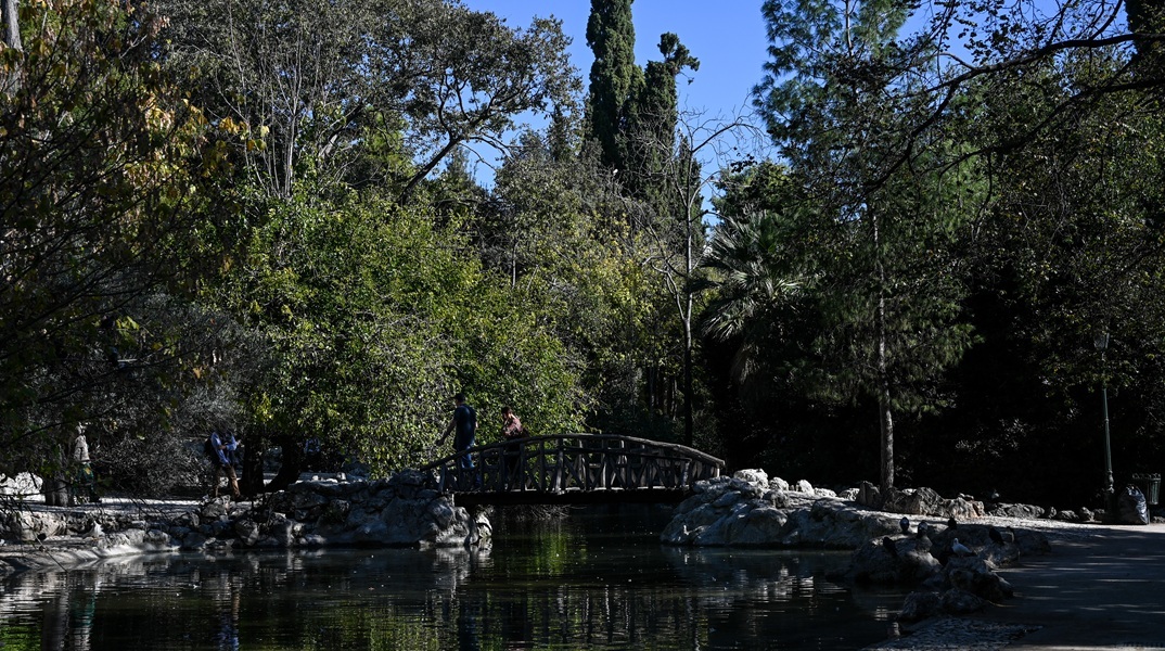 Ζάππειο: Έκλεισε ο Εθνικός Κήπος λόγω των ισχυρών ανέμων