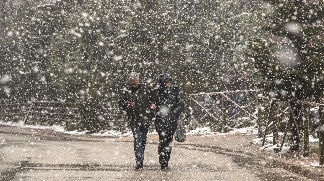 ζευγαρι περπατα στο δασος, χιονια