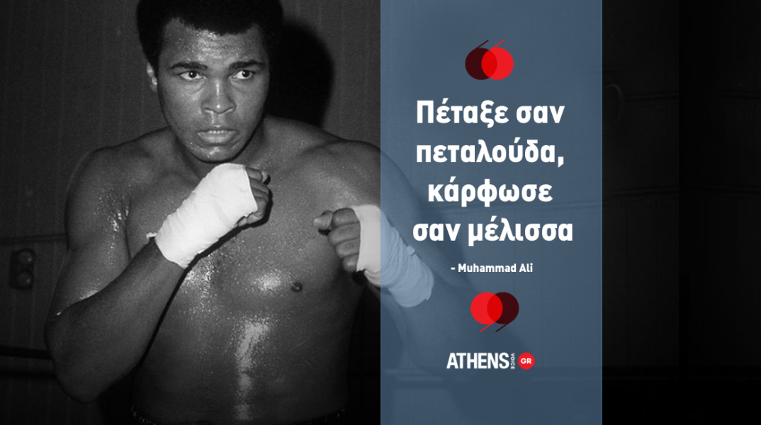 muhammedali.jpg