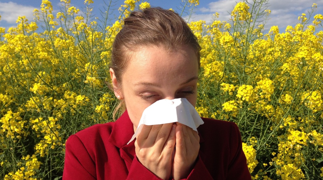 Ποιες είναι οι αλλεργίες του καλοκαιριού;