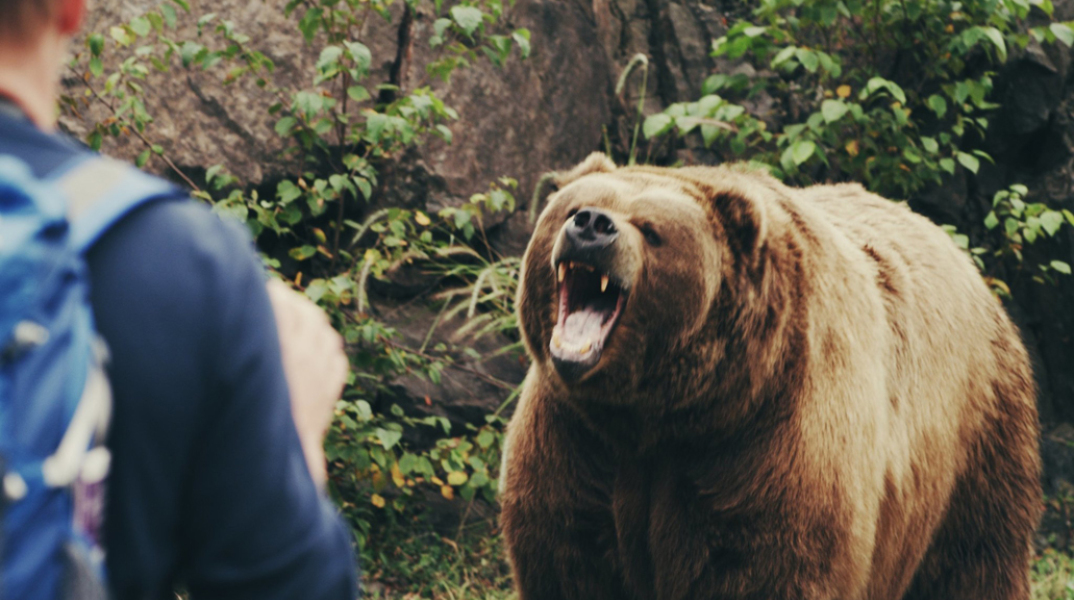 sdut-abc-tv-grizzly-bear-attack-montana-otter-instant-2015mar11.jpg