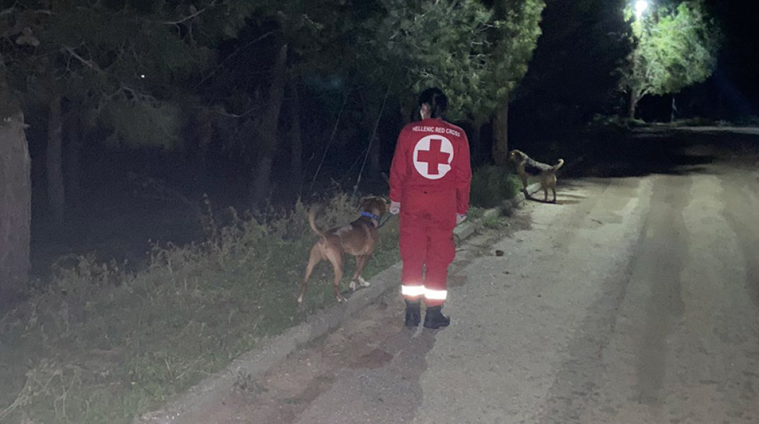 Ερυθρός Σταυρός: Εθελοντές βγάζουν βόλτα το σκυλάκι σας  