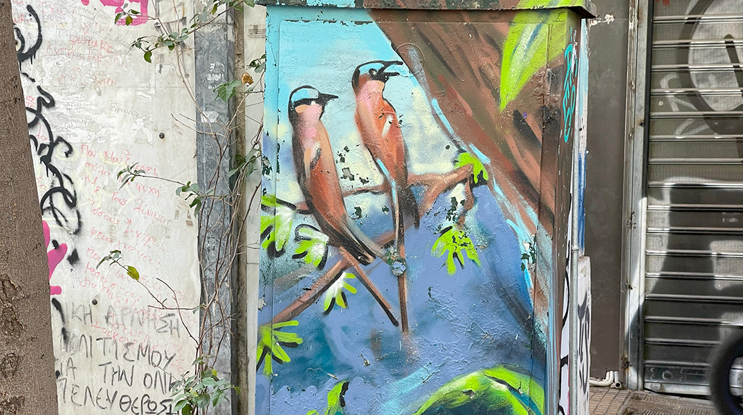 Street art στο καφάο  στον πεζόδρομο της οδού Μαυροκορδάτου