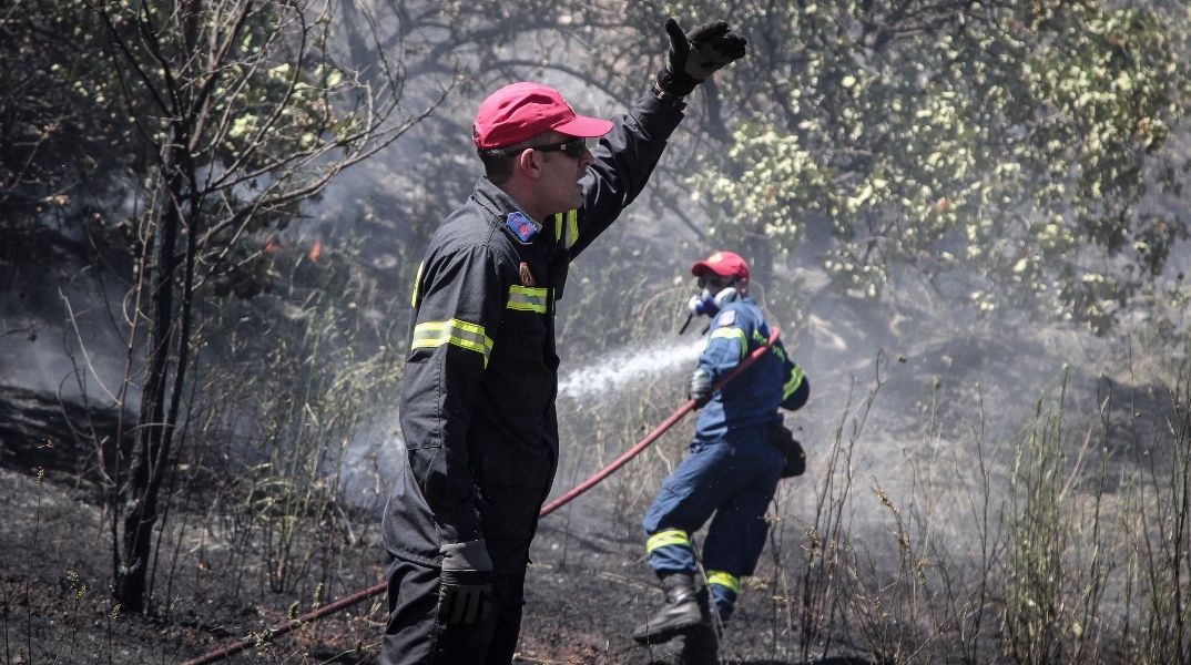 Πυρκαγιά στο Άλσος Βεΐκου: Προκλήθηκε από βεγγαλικά 