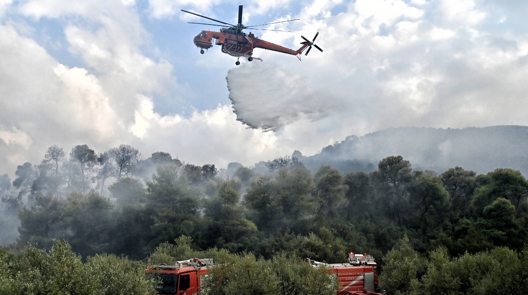 Φωτιά στην Εύβοια: Ενισχύθηκαν οι πυροσβεστικές δυνάμεις 