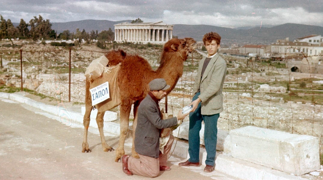 Καμήλα στην οδό Αστεροσκοπείου, 1957. Από το 1954 ένας πλανόδιος πωλητής κυκλοφορούσε στην Αθήνα με μια καμήλα, πουλώντας φιαλίδια με το υγρό σαπούνι «ΣΑΠΟΛ»