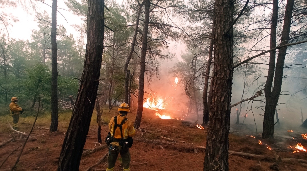 Τι μας δείχνει ο Έβρος για τις δασικές πυρκαγιές