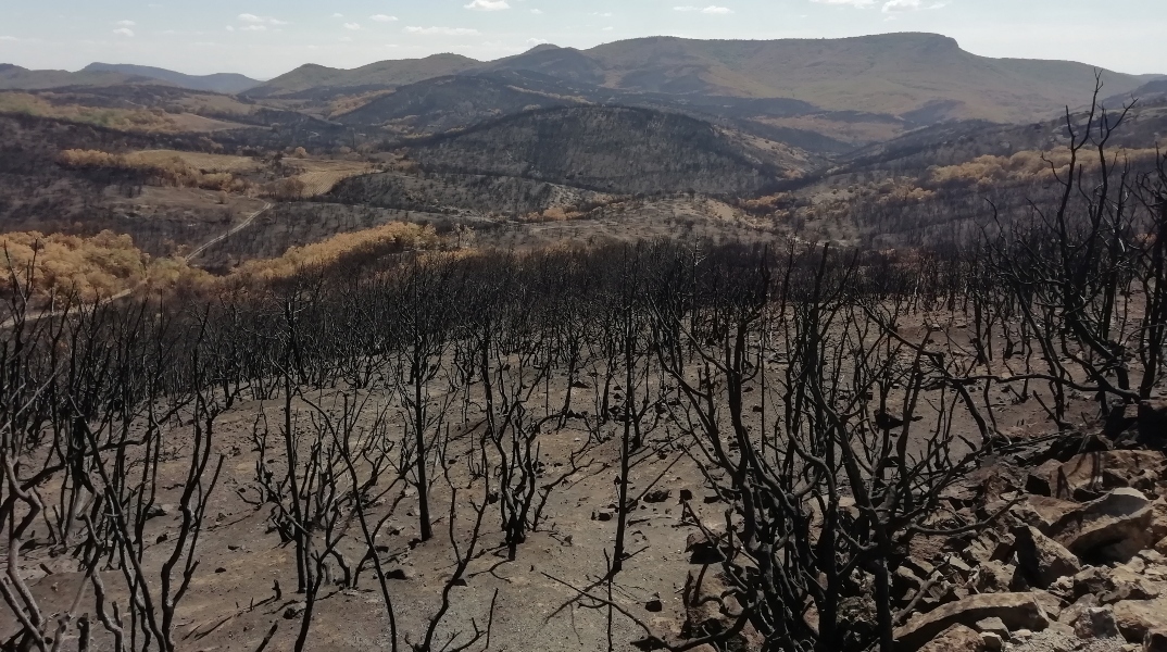  Η ανάλυση του Έβρου δείχνει τον δρόμο που πρέπει να ακολουθηθεί