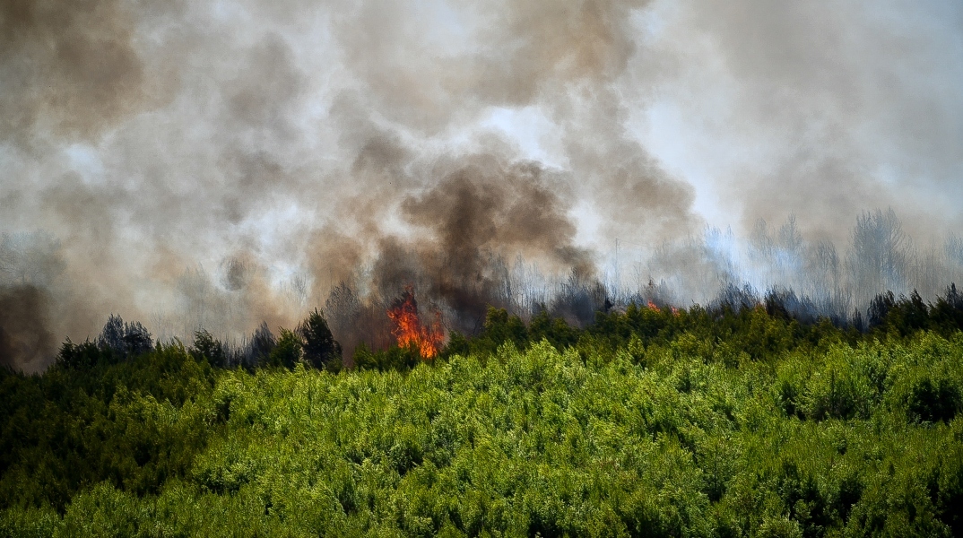 Πολύ υψηλός κίνδυνος πυρκαγιάς αύριο (22.6) σε τρεις Περιφέρειες της Ελλάδας