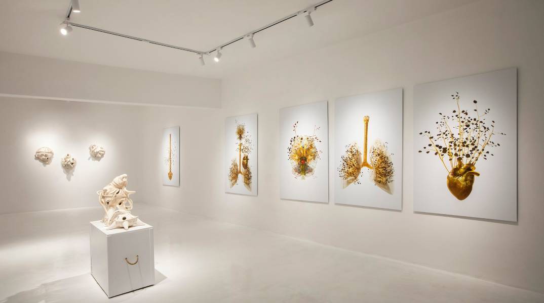 Costas Picadas - Anatomy unveiled στο Μουσείο Σύγχρονης Τέχνης Σαντορίνης