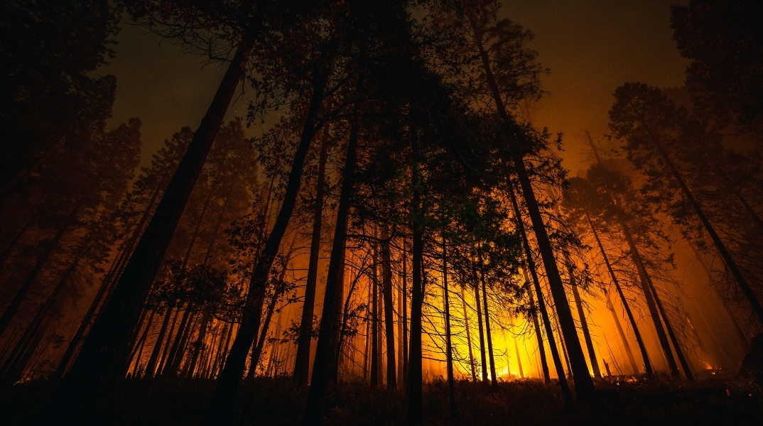 Δασικές πυρκαγιές: Έχουν διπλασιαστεί τα τελευταία 20 χρόνια