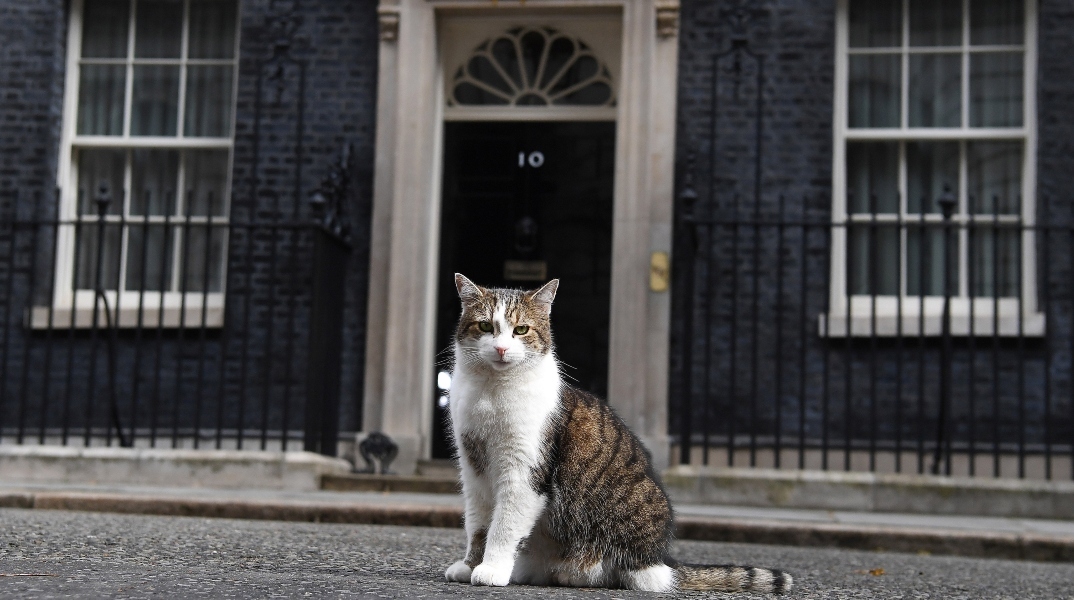 Ντάουνινγκ Στριτ: Λάρι, ο γάτος που γνωρίζει όλους τους πρωθυπουργούς 