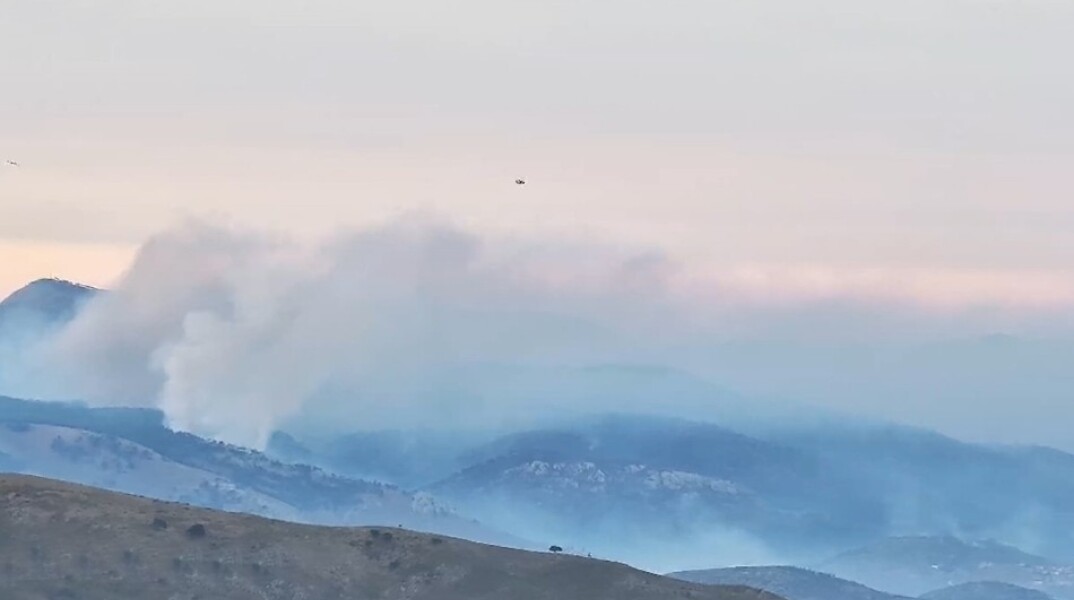 Στιγμιότυπο από τη φωτιά στη Χίο