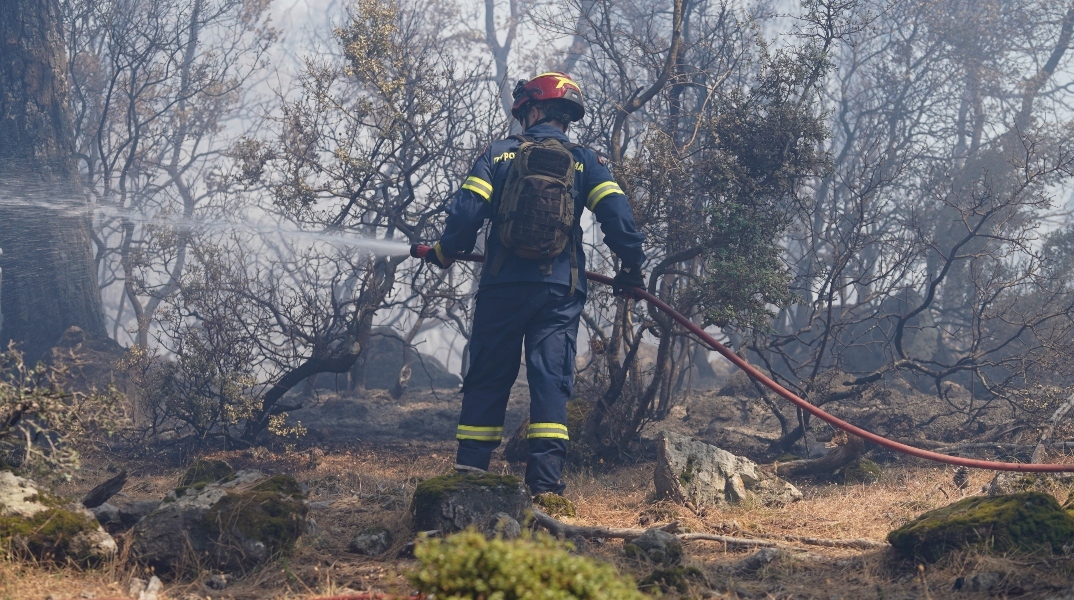 Φωτιά στον Ασπρόπυργο: Υπό μερικό έλεγχο η πυρκαγιά σε χαμηλή βλάστηση