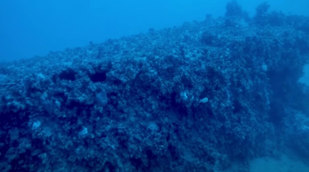 Εντοπίστηκε η πλώρη του ιταλικού υποβρυχίου «Jantina» που βυθίστηκε στον Β' Παγκόσμιο πόλεμο (video)