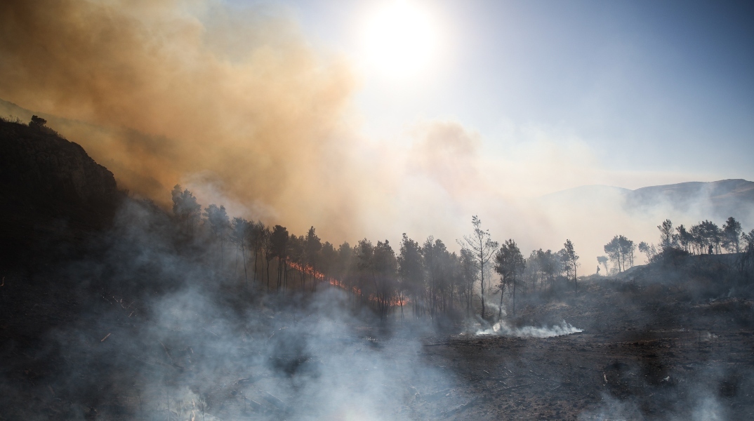 Κίνδυνος πυρκαγιάς: Πολύ δύσκολη η Τετάρτη λόγω καύσωνα και ανέμων