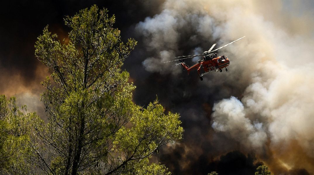 Πυροσβεστική: 52 αγροτοδασικές φωτιές το τελευταίο 24ωρο σε όλη τη χώρα - Συνελήφθη ένα άτομο για τη φωτιά στη Στιμάγκα Κορινθίας