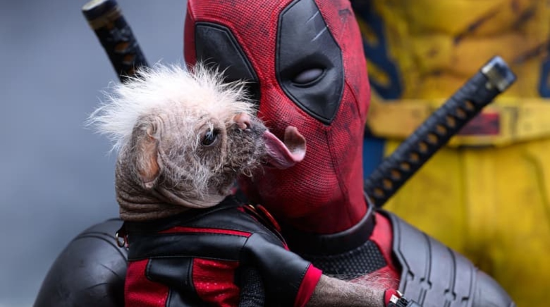 Deadpool & Wolverine: Ποια είναι η Dogpool;