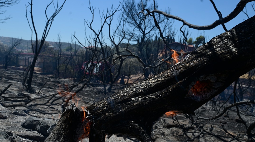 Φωτιά στη Βαρυμπόμπη