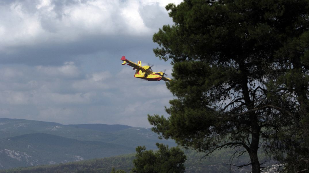 Φωτιά στην Καρδίτσα: Σε δάσος κοντά στη Λίμνη Πλαστήρα - Ισχυρές δυνάμεις της Πυροσβεστικής, στη μάχη και εναέρια μέσα. 