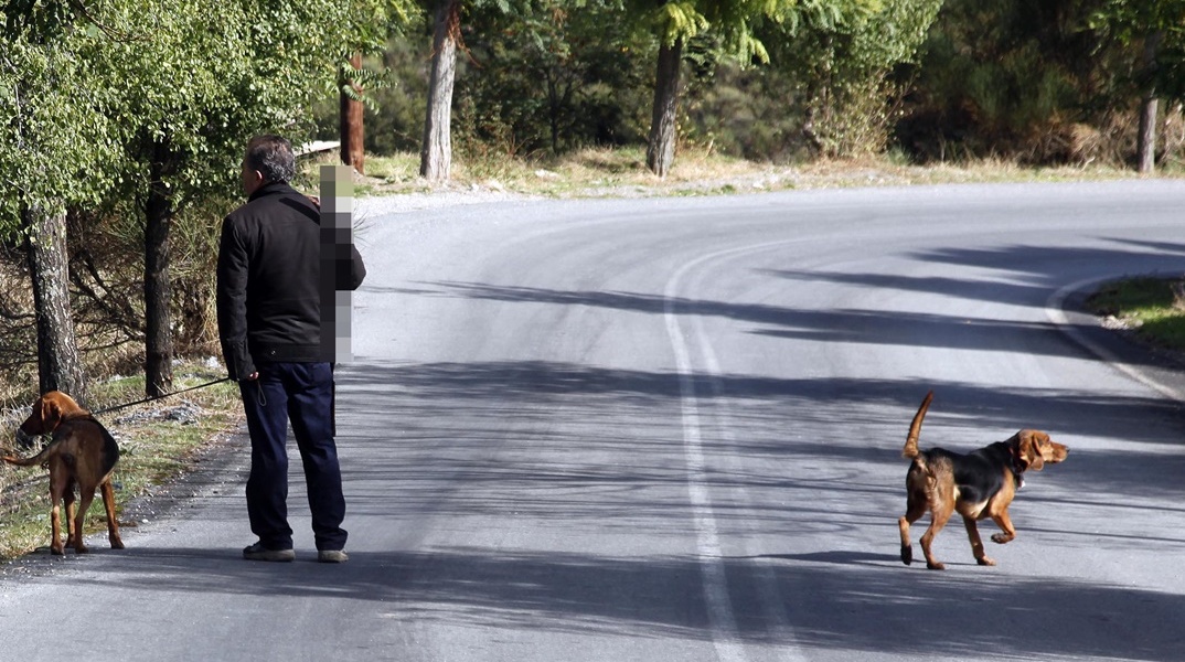 Κυνηγός με σκυλιά σε δρόμο 
