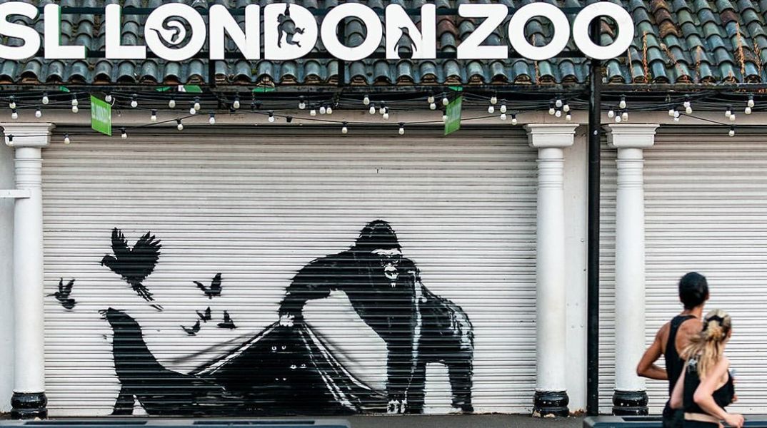 Banksy: Με έναν γορίλα που απελευθερώνει πουλιά, ο street artist ολοκληρώνει τη σειρά των ζώων που εμφανίστηκαν αιφνιδιαστικά σε τοίχους του Λονδίνου.