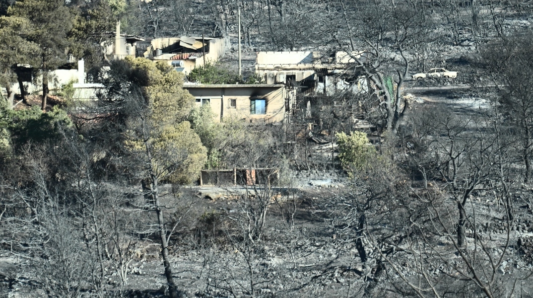 Λέκκας για φωτιά Αττική: Γιατί είναι δύσκολο να ελεγχθεί σε αστικό χώρο