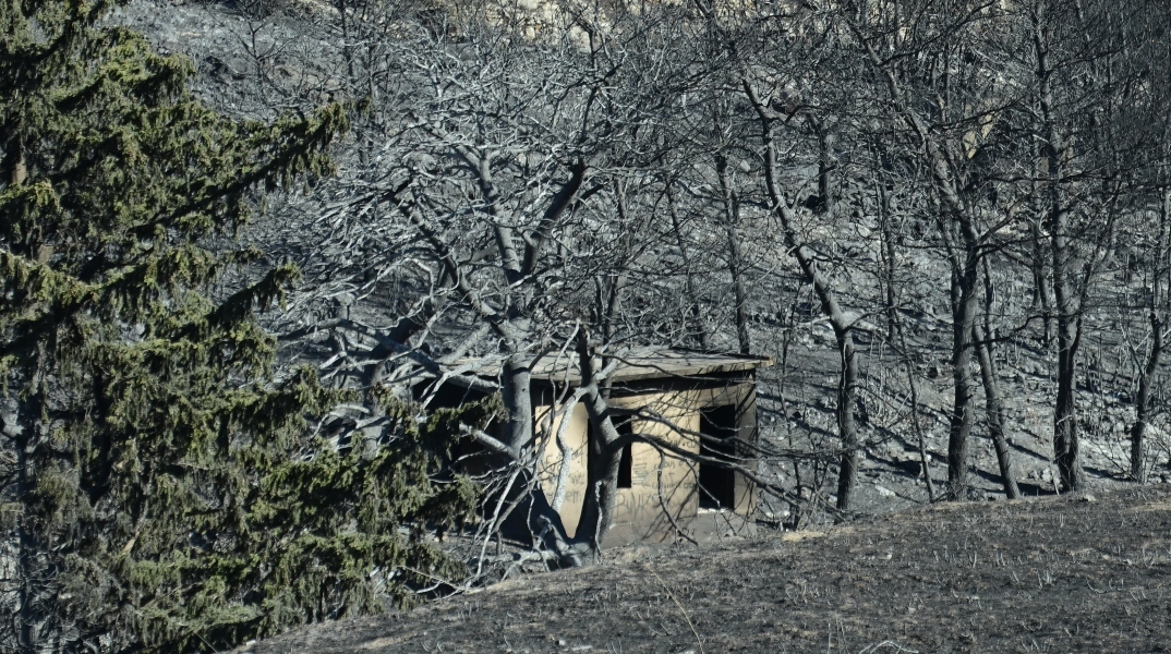 «Οι κυβερνώντες ψάχνουν δικαιολογίες, οι αντιπολιτευόμενοι ψάχνουν ευθύνες, οι δημοσιογράφοι ανοίγουν το μπλοκάκι με τα κλισέ καταστροφής»