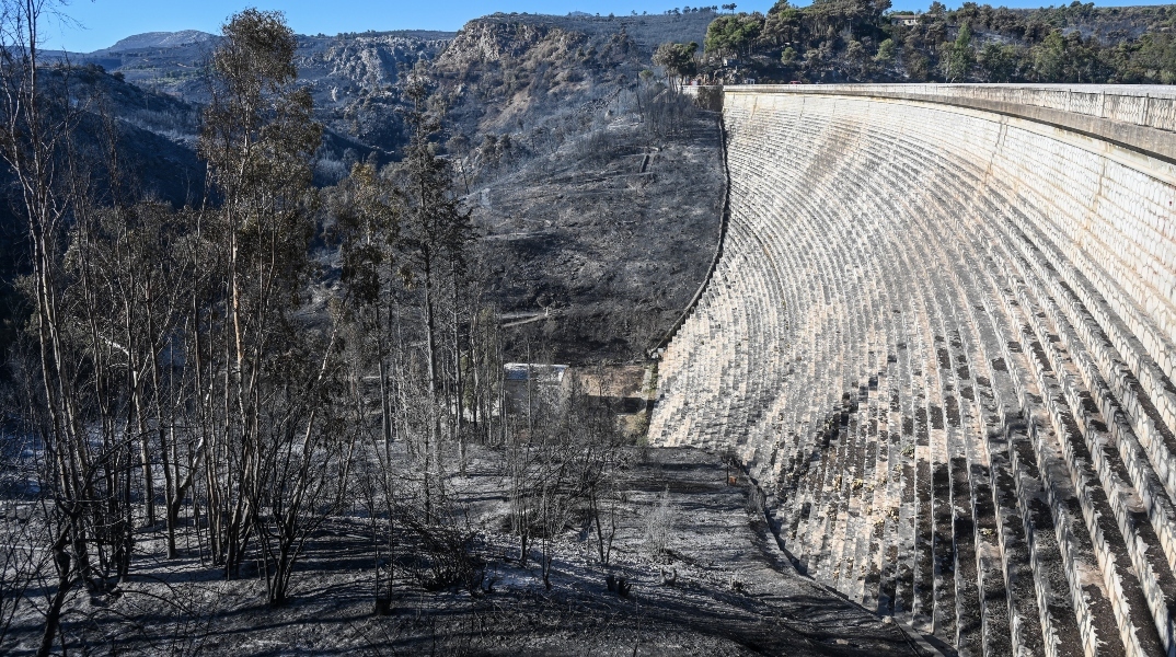 Meteo: Το 37% των δασών της Αττικής κάηκε τα 8 τελευταία χρόνια