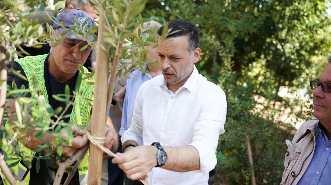 Δήμος Αθηναίων: Η Αθήνα πρασινίζει - Ξεπεράσαμε τα 3.000 νέα δέντρα