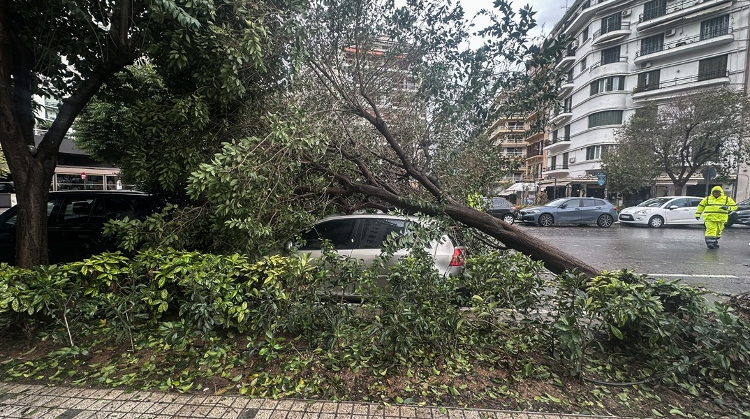 Δέντρο έπεσε πάνω σε αυτοκίνητο σε δρόμο της Θεσσαλονίκης μετά την κακοκαιρία Bora