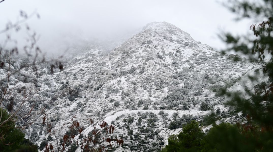 Στα λευκά η Ιπποκράτειος Πολιτεία 