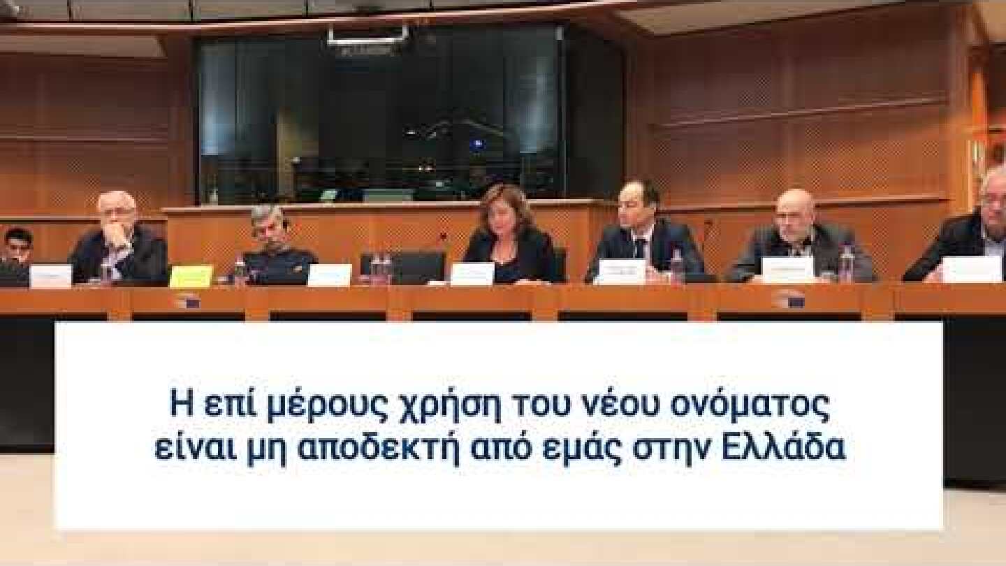 Παρέμβαση της Μαρίας Σπυράκη στην Μικτή Κοινοβουλευτική Επιτροπή ΕΕ-ΠΓΔΜ  29.1.18