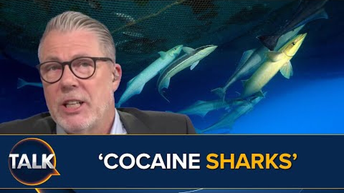 “What The HECK?!” | Brazilian Sharks Test Positive For Cocaine