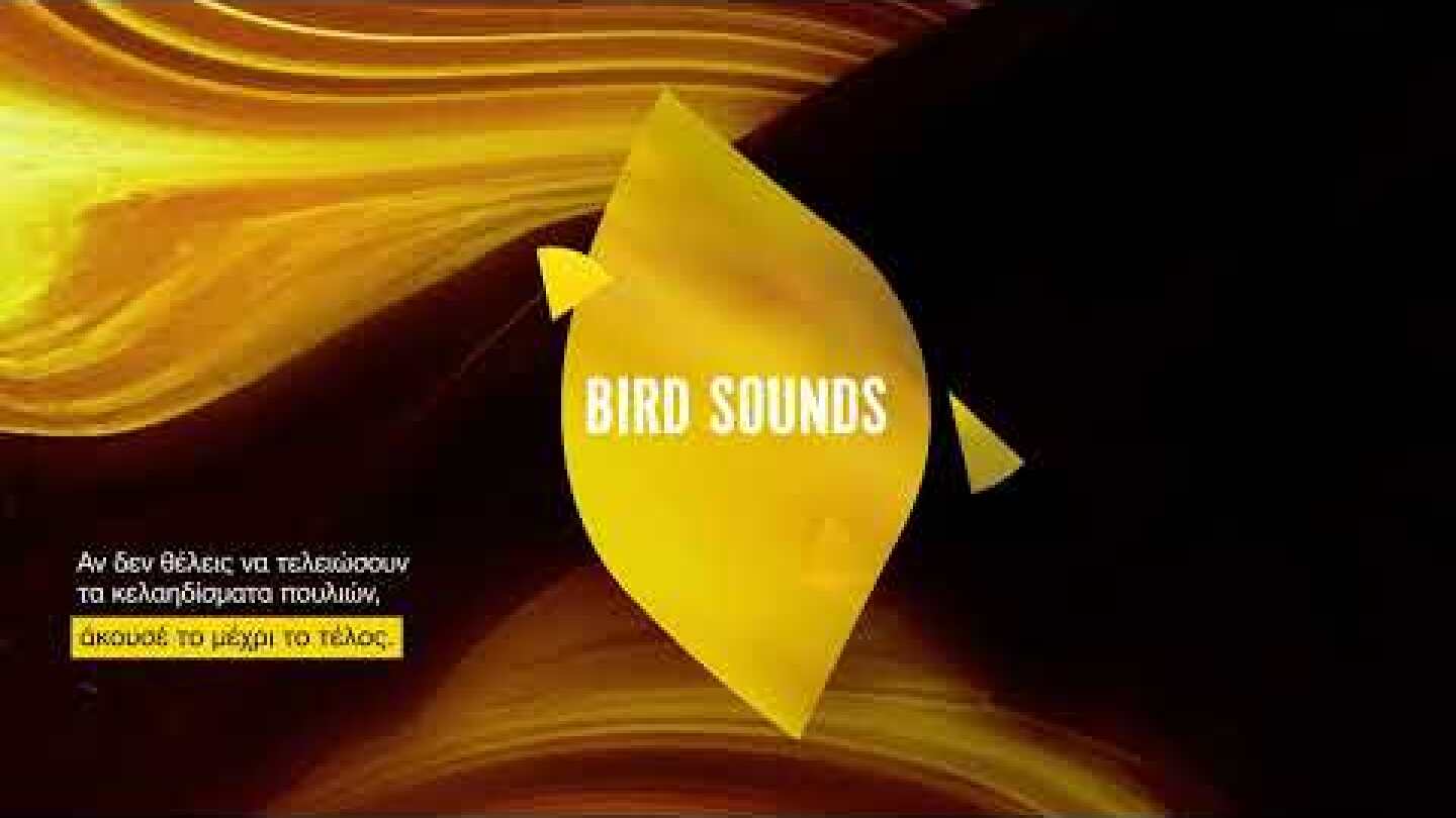 Bird Sounds | Greenpeace