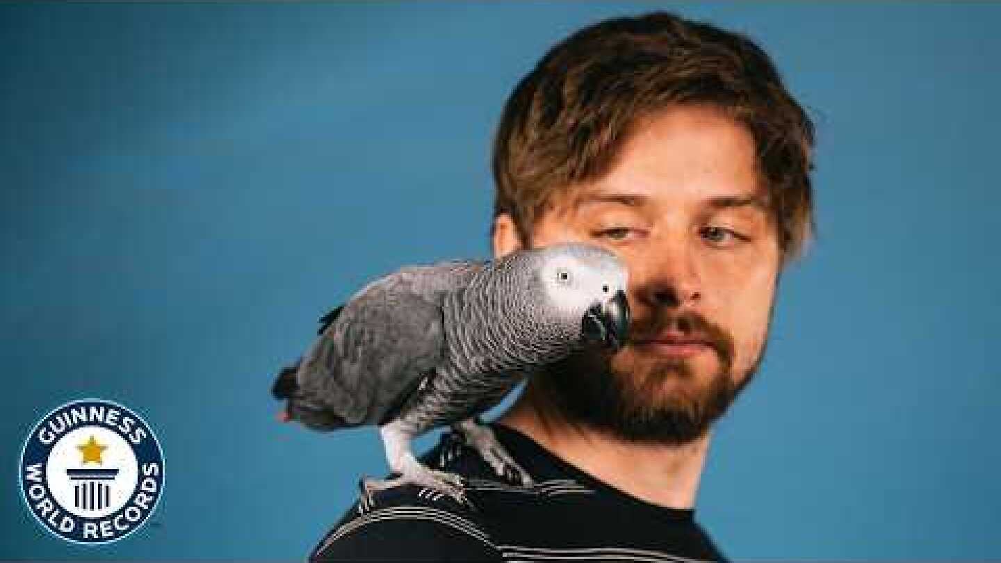 Apollo The Genius Parrot - Guinness World Records