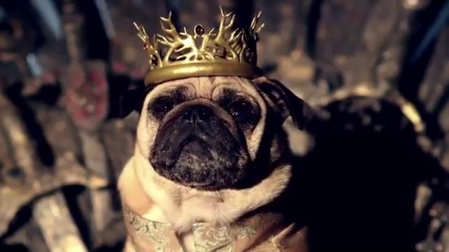 Game of Pugs|Game of Thrones Parody