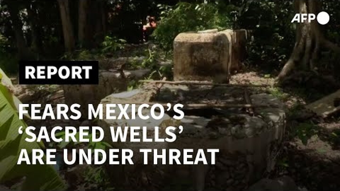 Pig farms accused of defiling Mexico's 'sacred wells' | AFP