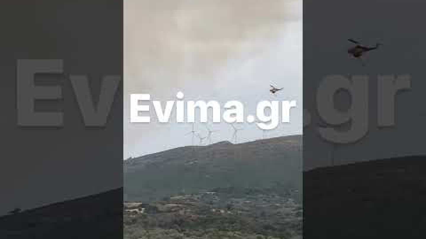 Φωτιά στην Εύβοια: Στη μάχη και ελικόπτερο - Εικόνες και βίντεο