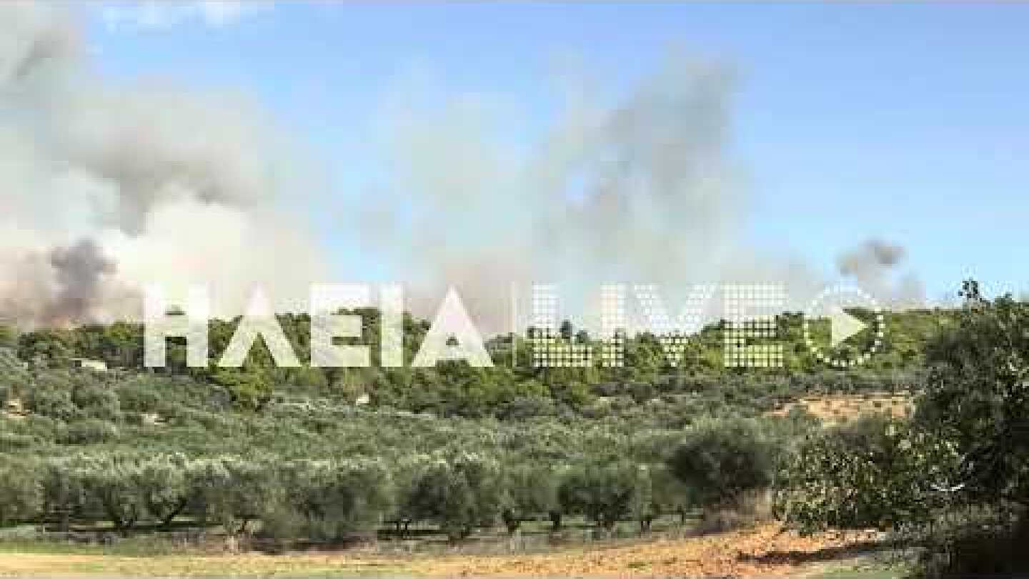 ilialive.gr - Μεγάλη δασική πυρκαγιά στην Αμαλιάδα