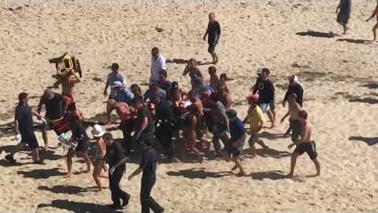 Shark attack victim pulled from Wellfleet beach